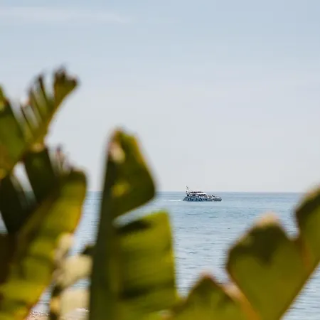 Vacation In The Location, With Terrace And Pool In Center Appartement