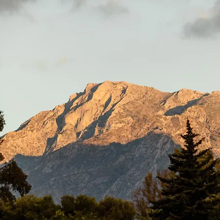 Vacation In The Location, With Terrace And Pool In Center