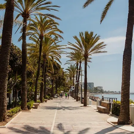 Vacation In The Location, With Terrace And Pool In Center Appartamento