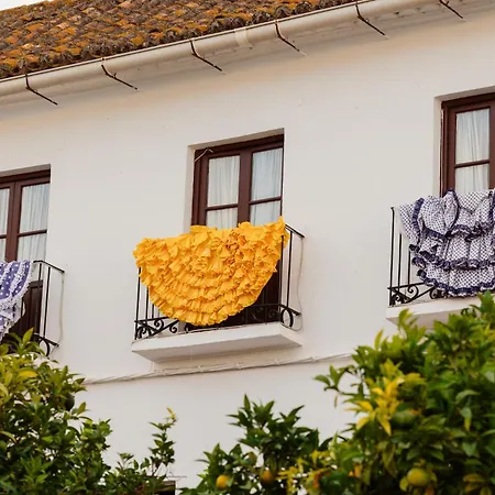 Apartment Vacation In The Location, With Terrace, Pool And Bbq, In Center Marbella
