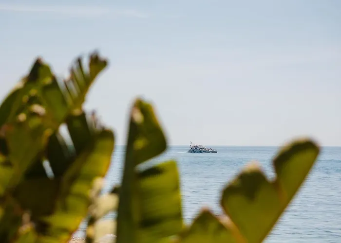 Vacation In The Location, With Terrace And Pool In Center Apartmán