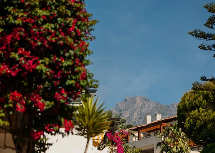 Vacation In The Location, With Terrace And Pool In Center Apartmán