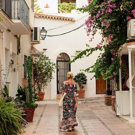 Vacation In The Location, With Terrace And Pool In Center